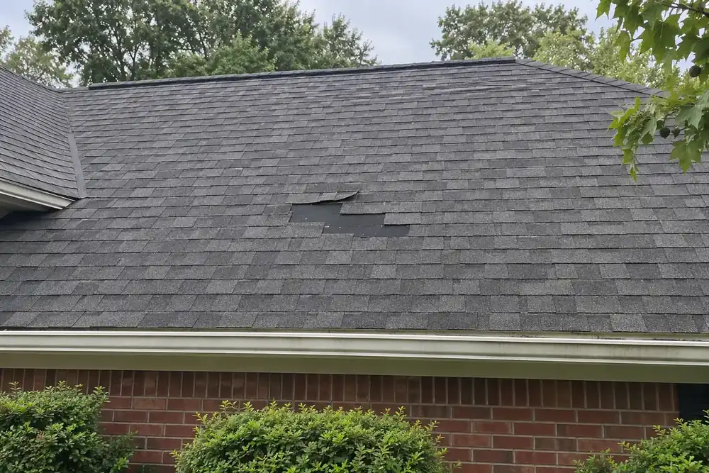 Missing dark grey shingles expose black underlayment below a creased shingle