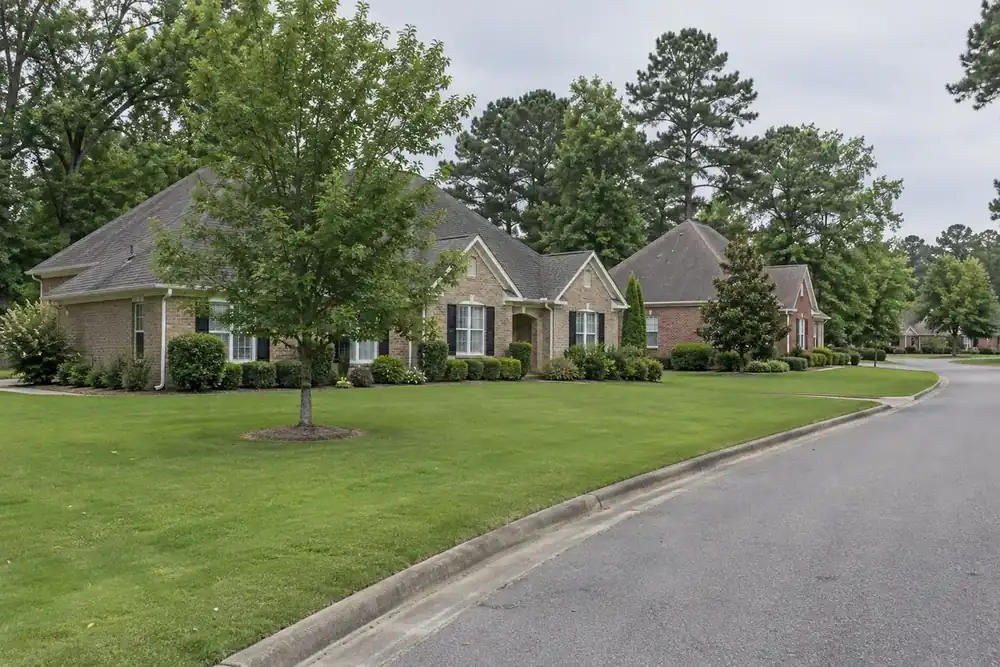 Illustration of a typical residential street in the Lakeland, TN area